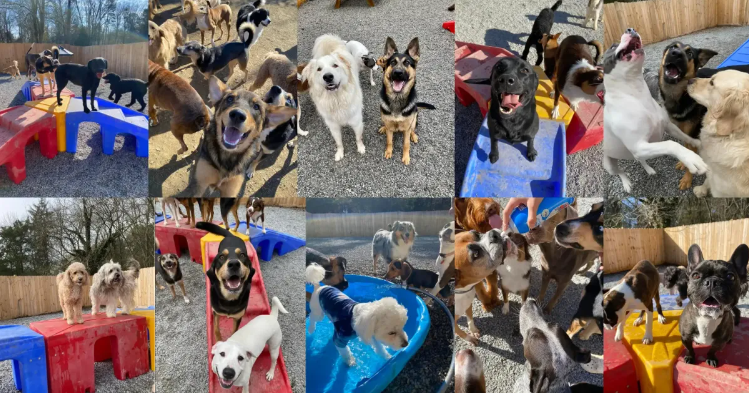 The Ranch at Bonny Oaks reviews